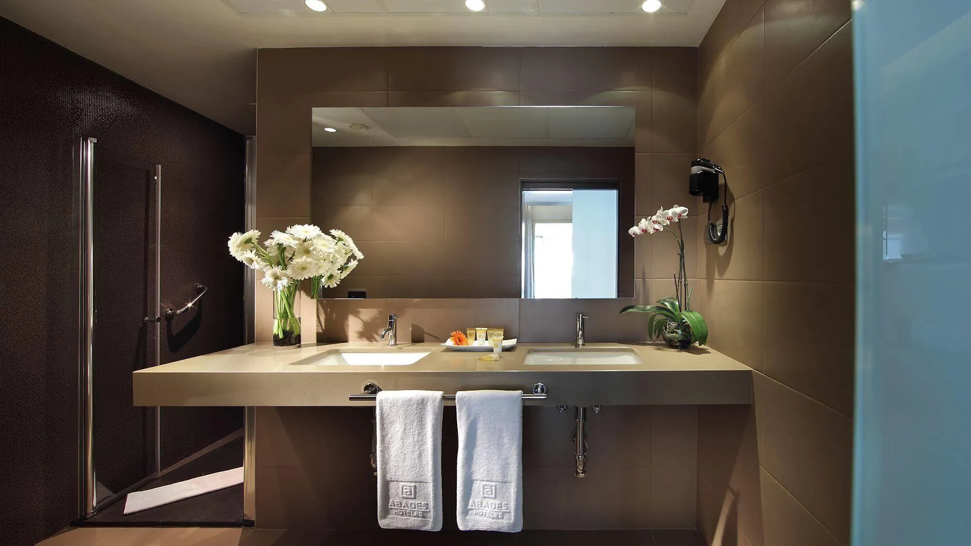 Hotel Abades Recogidas Granada